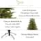 7ft. Pre-Lit North Carolina Spruce Artificial Christmas Tree, Clear LED Lights